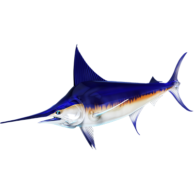 Swordfish 2 nalepke, samolepilne - AUR107-Life-decor.si