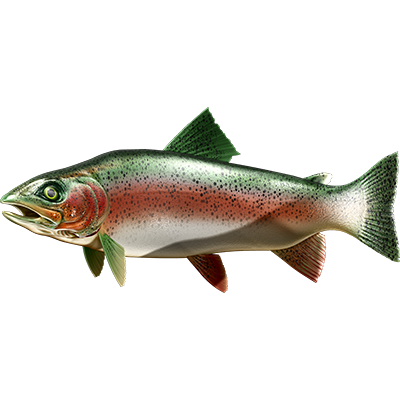 Trout nalepke, samolepilne - AUR112-Life-decor.si