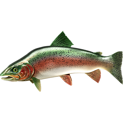 Trout nalepke, samolepilne - AUR112-Life-decor.si