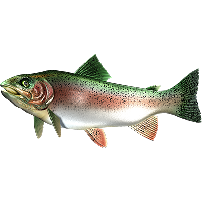 Trout nalepke, samolepilne - AUR112-Life-decor.si