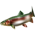 Trout nalepke, samolepilne - AUR112-Life-decor.si