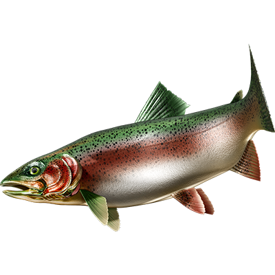 Trout nalepke, samolepilne - AUR112-Life-decor.si