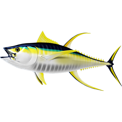 Yellowfin Tuna 2 nalepke, samolepilne - AUR119-Life-decor.si