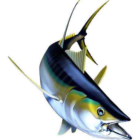 Yellowfin Tuna 2 nalepke, samolepilne - AUR119-Life-decor.si