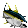 Yellowfin Tuna nalepke, samolepilne - AUR118-Life-decor.si