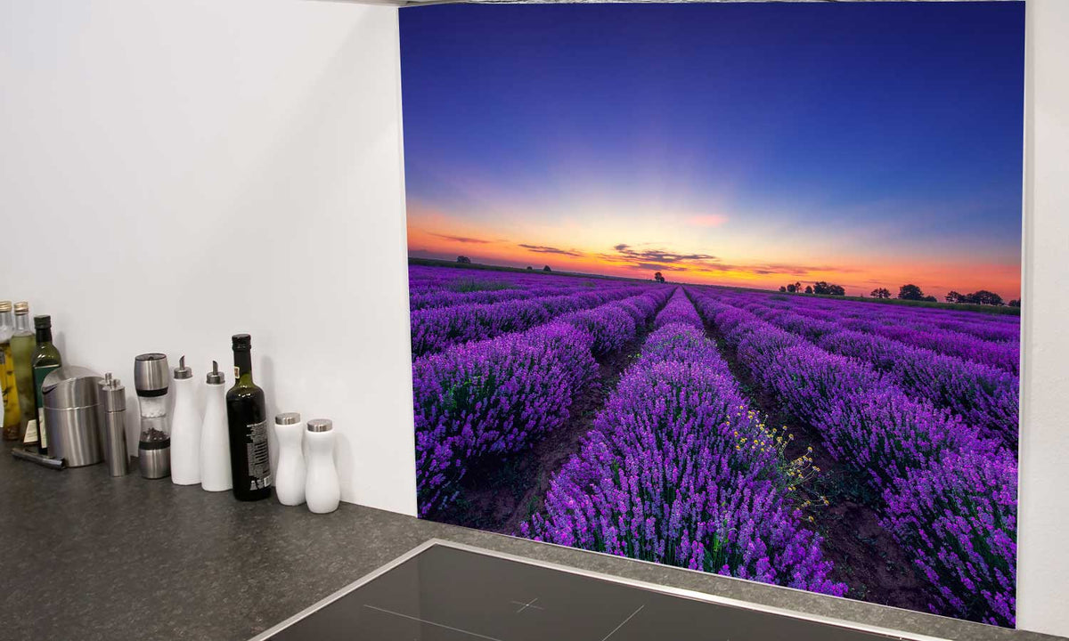 Zaštitnik od prskanja vodom Lavender, kaljeno staklo - KA014