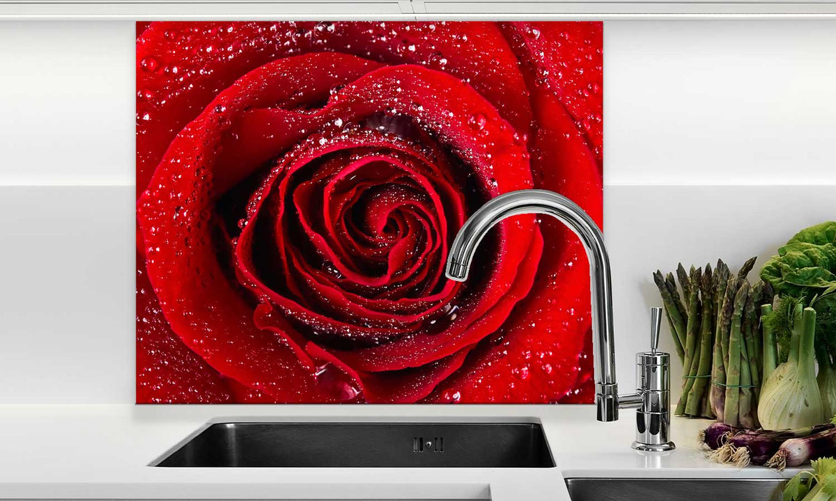 Zaštitnik od prskanja vodom Scarlet rose, kaljeno staklo - KA077