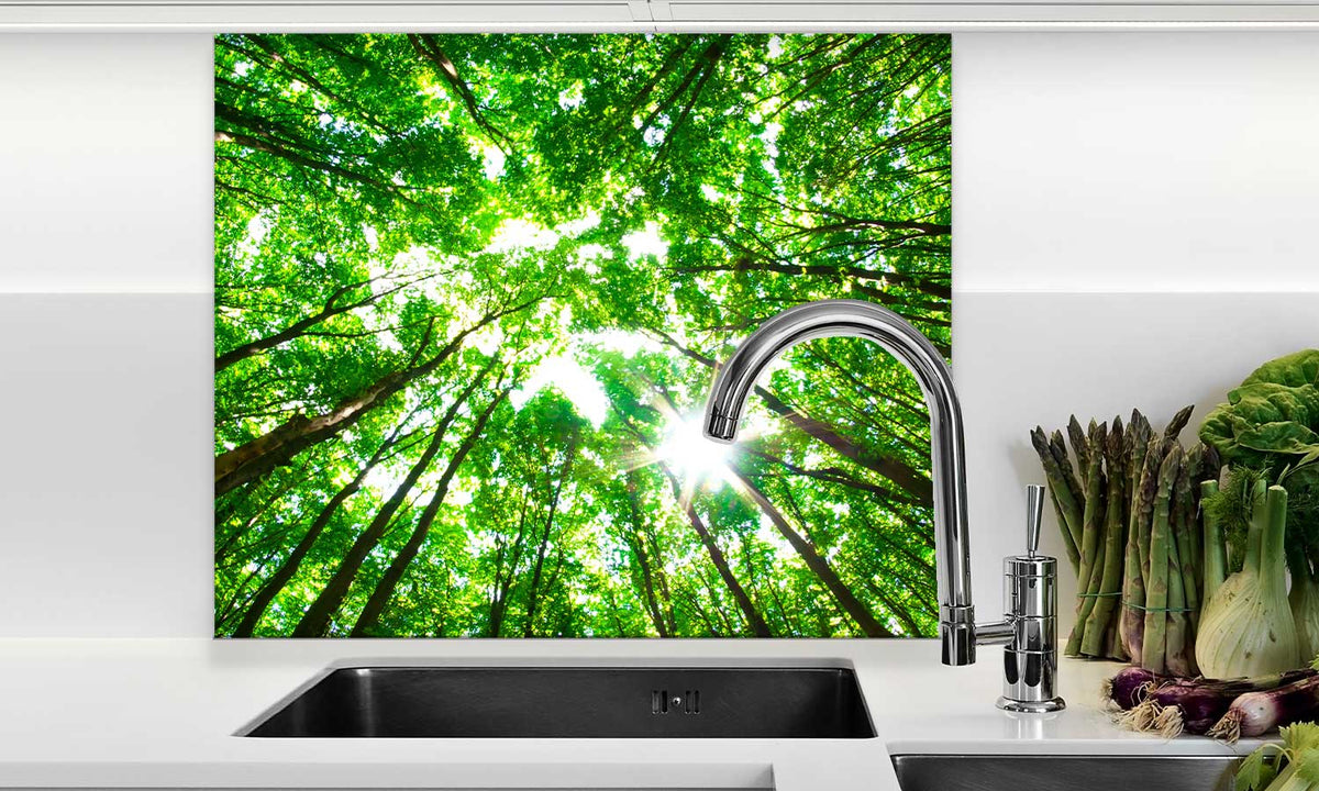 Zaštitnik od prskanja vodom Green forest, kaljeno staklo - KA084