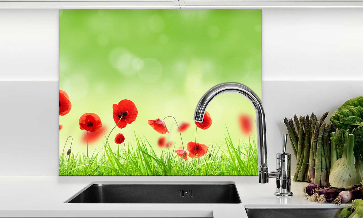 Zaštitnik od prskanja vodom Poppy meadow, kaljeno staklo - KA076