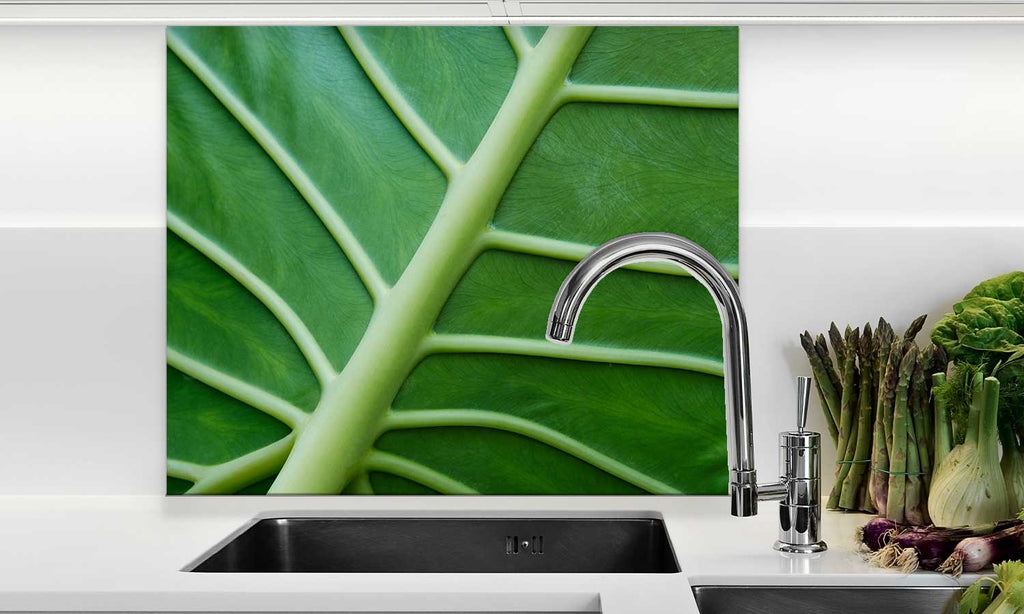Zaštitnik od prskanja vodom Leaf closeup, kaljeno staklo - KA104