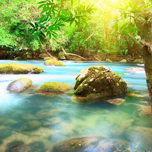 Zaštitnik od prskanja vodom Forest River, kaljeno staklo - KA002