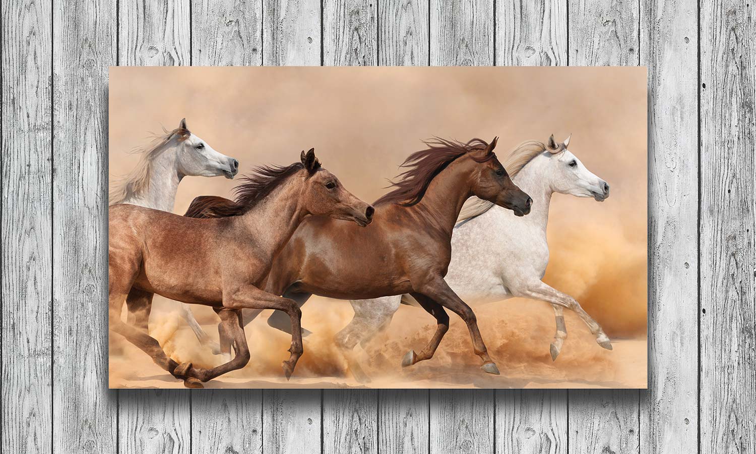 Slika za na steno Herd gallops - AP142-Life-decor.si