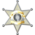 Značka Sheriff Badge, nalepka. AUR155-Life-decor.si