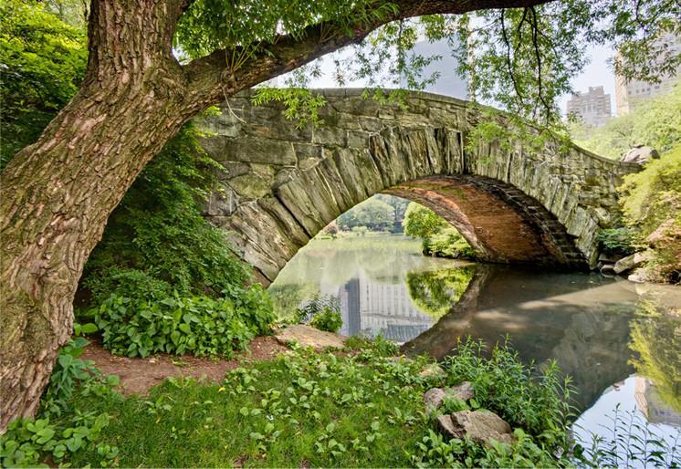 Samolepilne stenske tapete  Bridge in central park