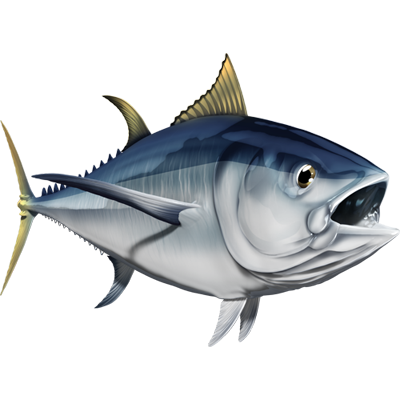 Nalepke za ribe Albacore, samolepilne, 6 različnih modelov - AUR047