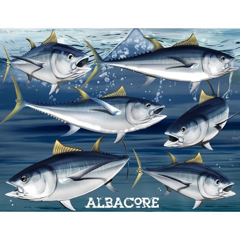 Nalepke za ribe Albacore, samolepilne, 6 različnih modelov - AUR047