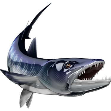 Nalepke za ribe Barracuda, samolepilne, 6 različnih modelov - AUR048