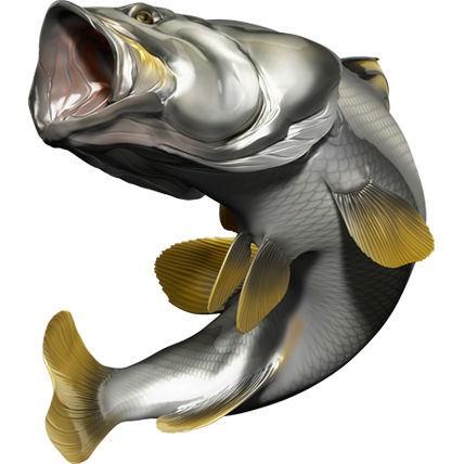 Nalepke za ribe Barramundi, samolepilne, 6 različnih modelov - AUR049