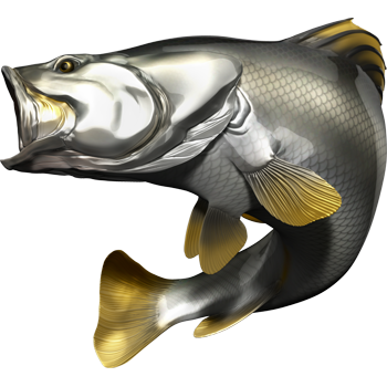 Nalepke za ribe Barramundi, samolepilne, 6 različnih modelov - AUR049