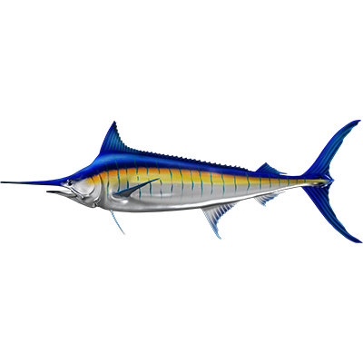 Modre nalepke za ribe Marlin, samolepilne, 6 različnih modelov - AUR050