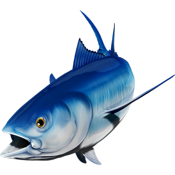 Nalepke za modroplavutega tuna, samolepilne, 6 različnih modelov - AUR051