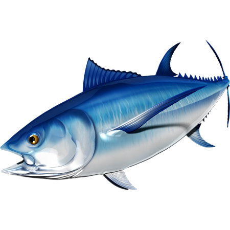 Nalepke za modroplavutega tuna, samolepilne, 6 različnih modelov - AUR051