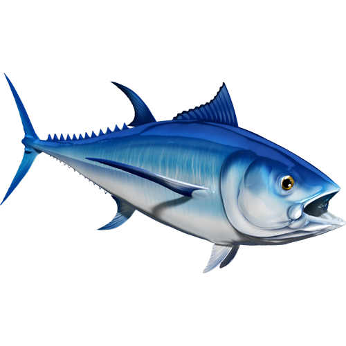 Nalepke za modroplavutega tuna, samolepilne, 6 različnih modelov - AUR051