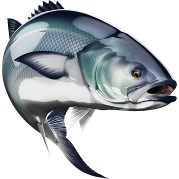 Nalepke za ribe modre ribe, samolepilne, 6 različnih modelov - AUR052