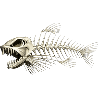 Bonefish 3 ribje nalepke, samolepilne, 3 različnih dizajnov - AUR056