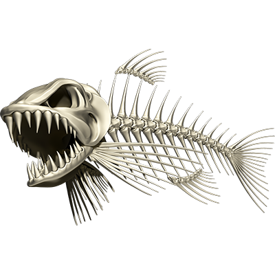 Bonefish 3 ribje nalepke, samolepilne, 3 različnih dizajnov - AUR056