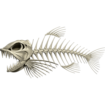 Bonefish 3 ribje nalepke, samolepilne, 3 različnih dizajnov - AUR056