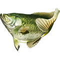 Crappie riba naljepnice, samoljepljive, 6 različitih dizajna - AUR060