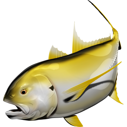 Ribje nalepke Crevalle Jack, samolepilne, 6 različnih dizajnov - AUR061