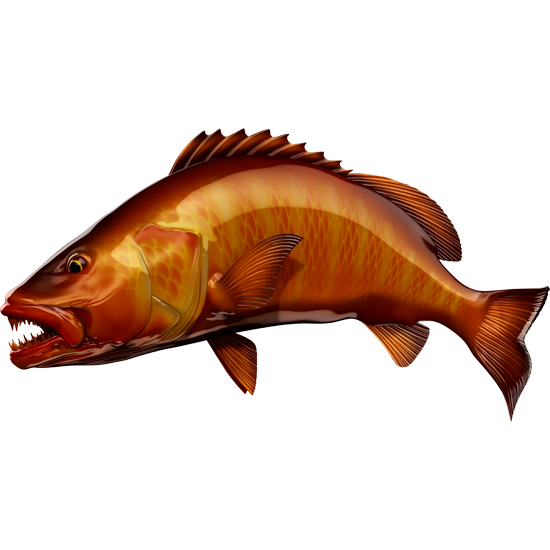 Ribje nalepke Cubera Snapper, samolepilne, 6 različnih dizajnov - AUR062