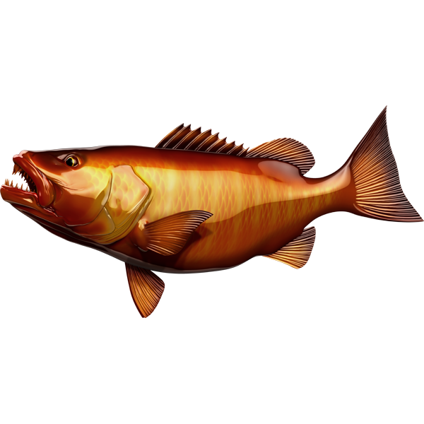Ribje nalepke Cubera Snapper, samolepilne, 6 različnih dizajnov - AUR062