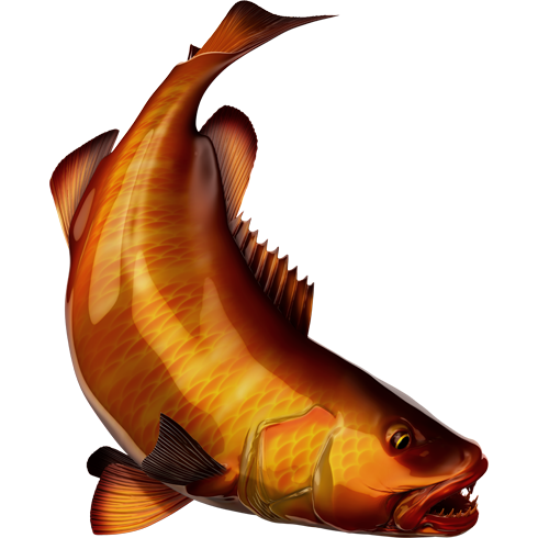 Ribje nalepke Cubera Snapper, samolepilne, 6 različnih dizajnov - AUR062