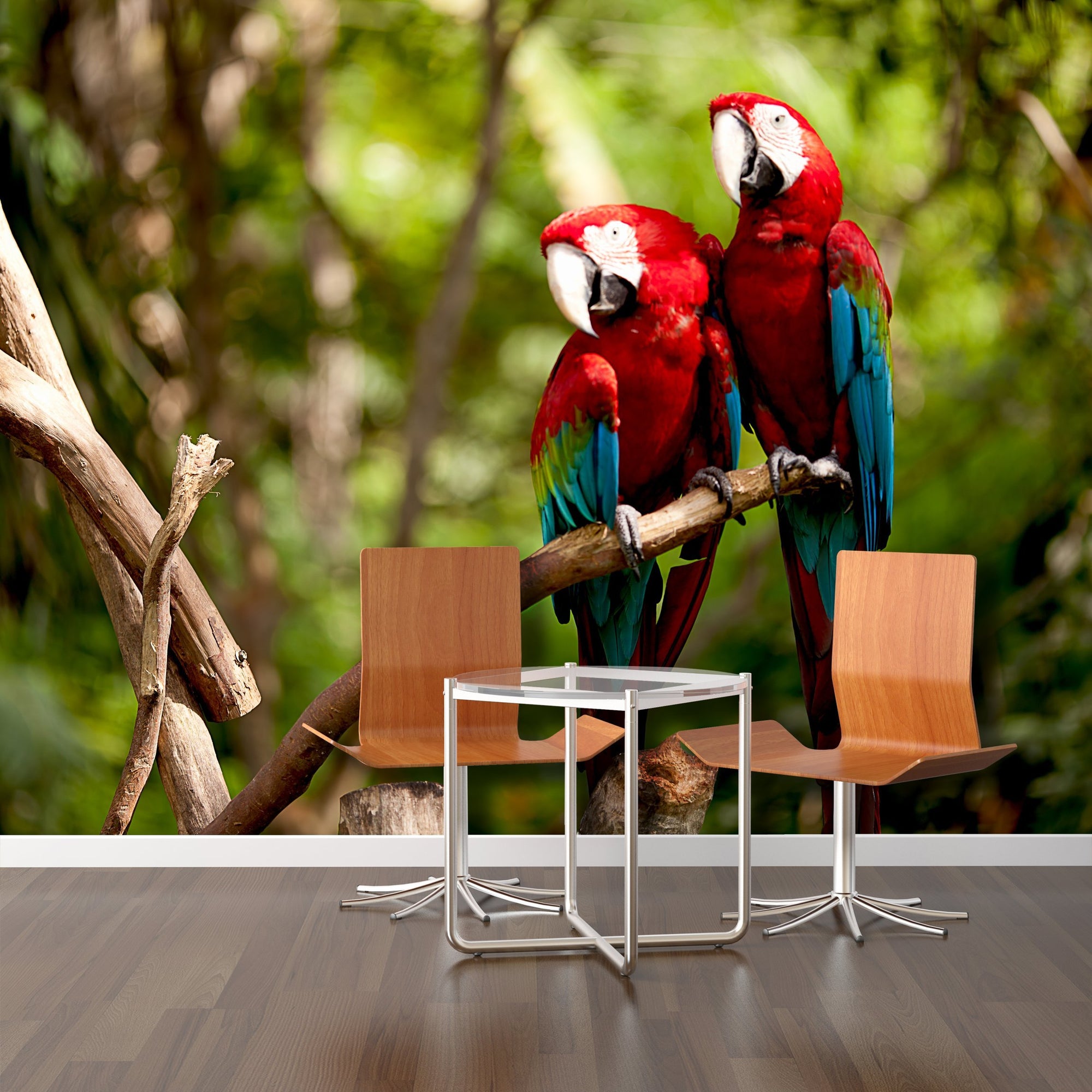 Samolepilne stenske tapete  Colorful Macaw SW023