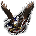 Eagle sprednje nalepke za avto ali motorno kolo. AUR002