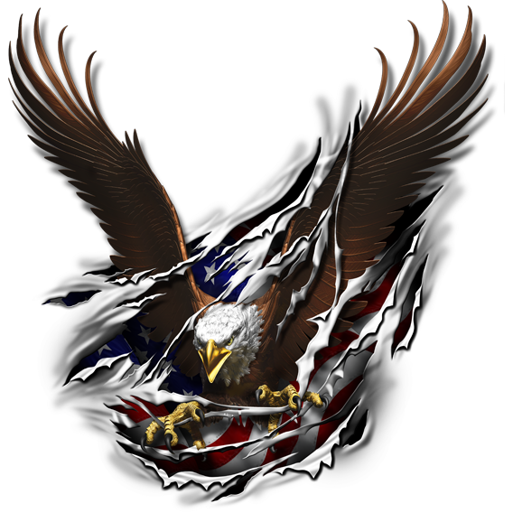 Eagle sprednje nalepke za avto ali motorno kolo. AUR002