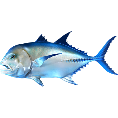 Giant Trevally nalepke, samolepilne - AUR071