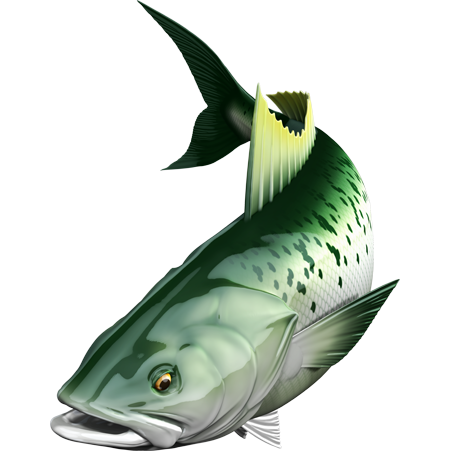 Kahawai nalepke, samolepilne - AUR072