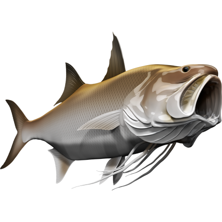 Nalepke King Threadfin, samolepilne - AUR074