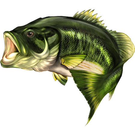 Largemouth Bass nalepka, samolepilna - AUR076