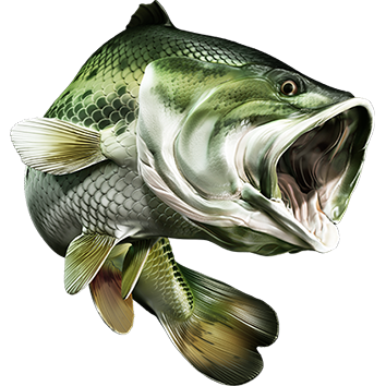 Largemouth Bass nalepke, samolepilne - AUR077