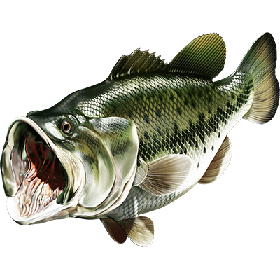 Largemouth Bass nalepke, samolepilne - AUR077