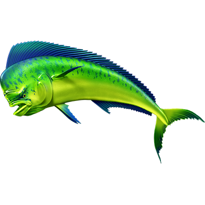 Nalepke Mahi Mahi ver. 2, samolepilne - AUR081