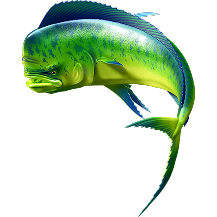 Nalepke Mahi Mahi ver. 2, samolepilne - AUR081