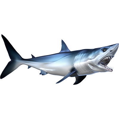 Nalepke Mako Shark, samolepilne - AUR082