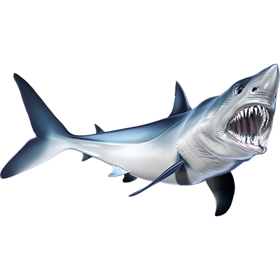 Nalepke Mako Shark, samolepilne - AUR082