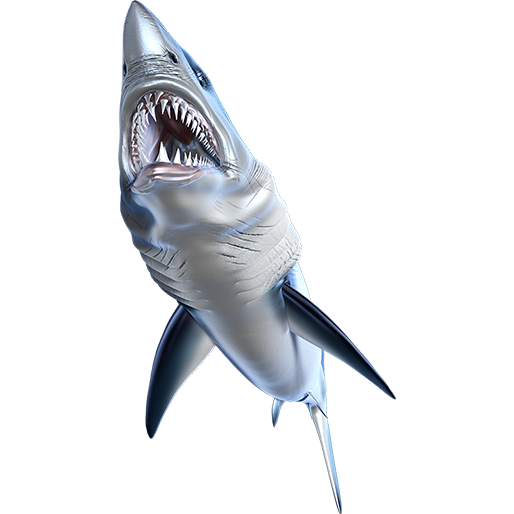 Nalepke Mako Shark, samolepilne - AUR082